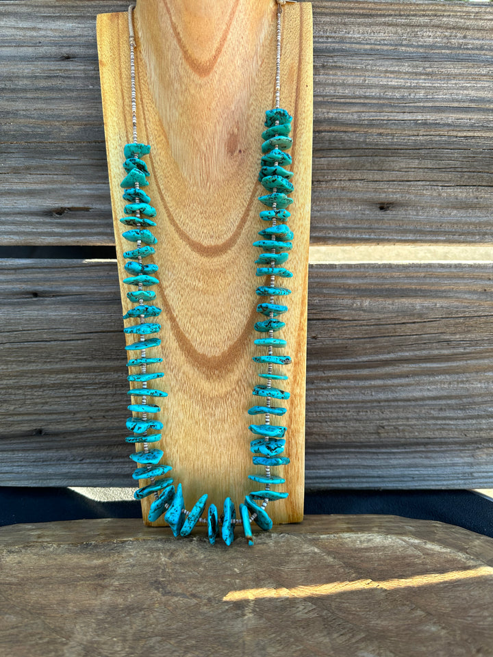Vado Turquoise Necklace